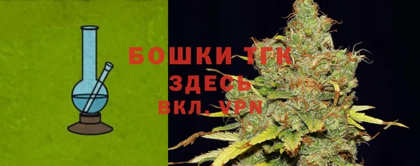 спиды Богородск