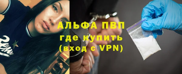 мдпв Богданович