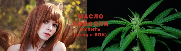 мдпв Богданович