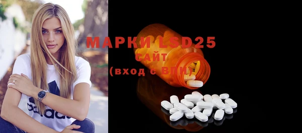мдпв Богданович