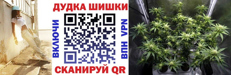 Бошки Шишки VHQ  Купить закладки  Елец 